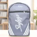 Skybags Voyager Backpack Gray